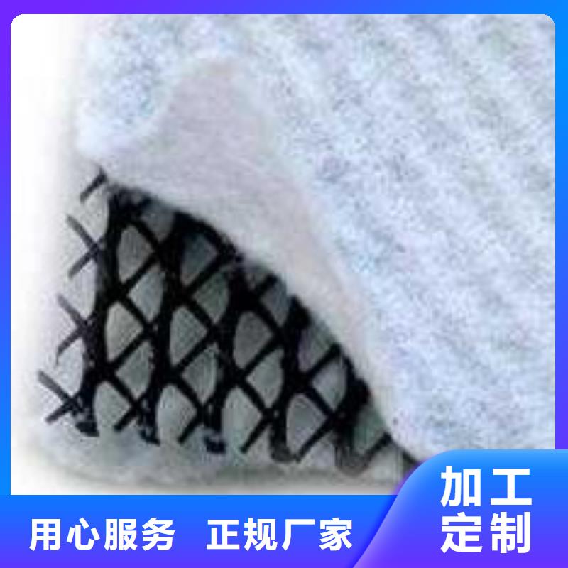 三维复合排水网PP焊接土工格栅型号齐全
