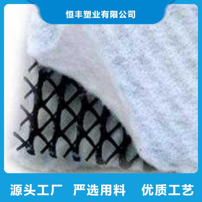 三维复合排水网,护坡土工网一站式服务