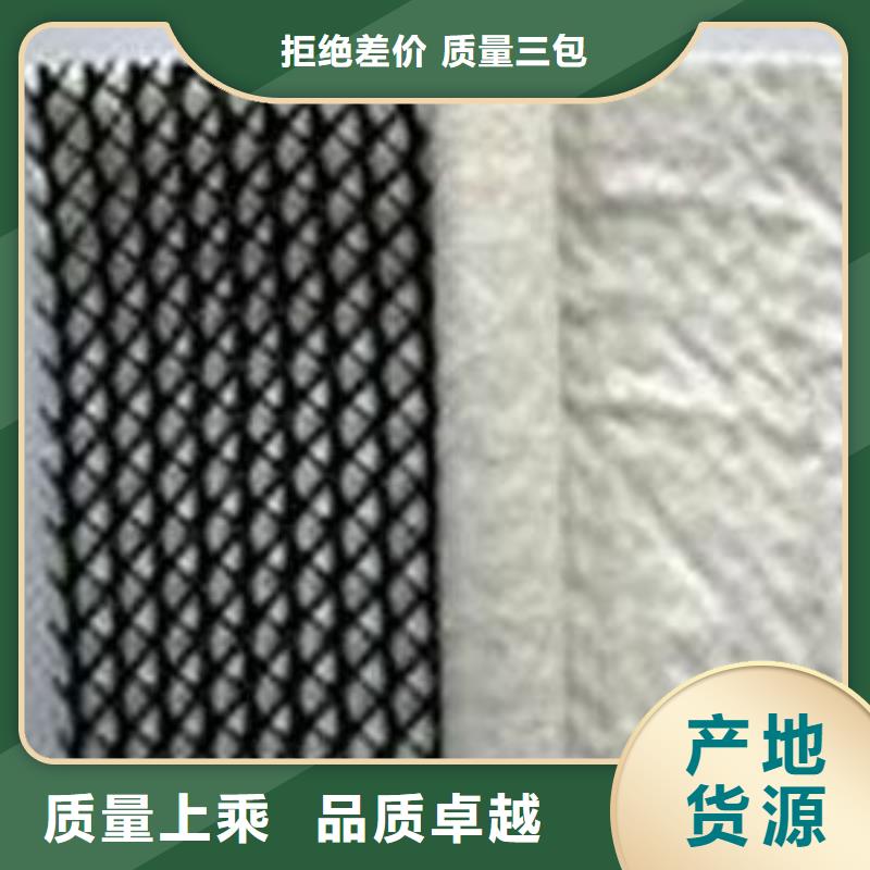 三维复合排水网土工席垫订制批发