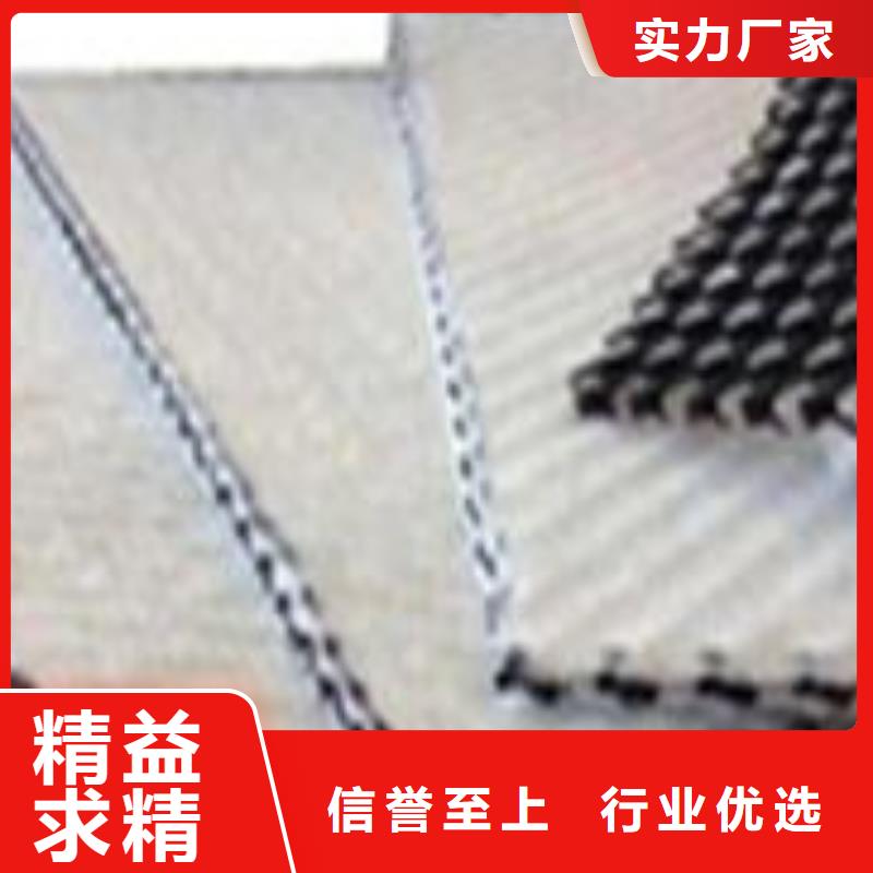 三维复合排水网土工布本地配送