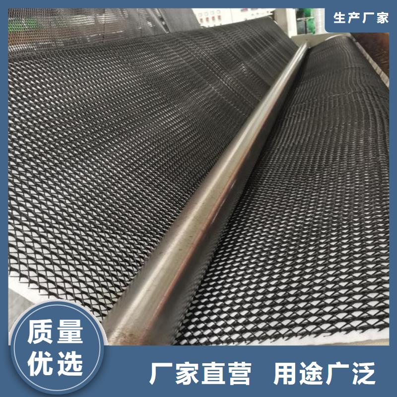 三维复合排水网PP焊接土工格栅型号齐全