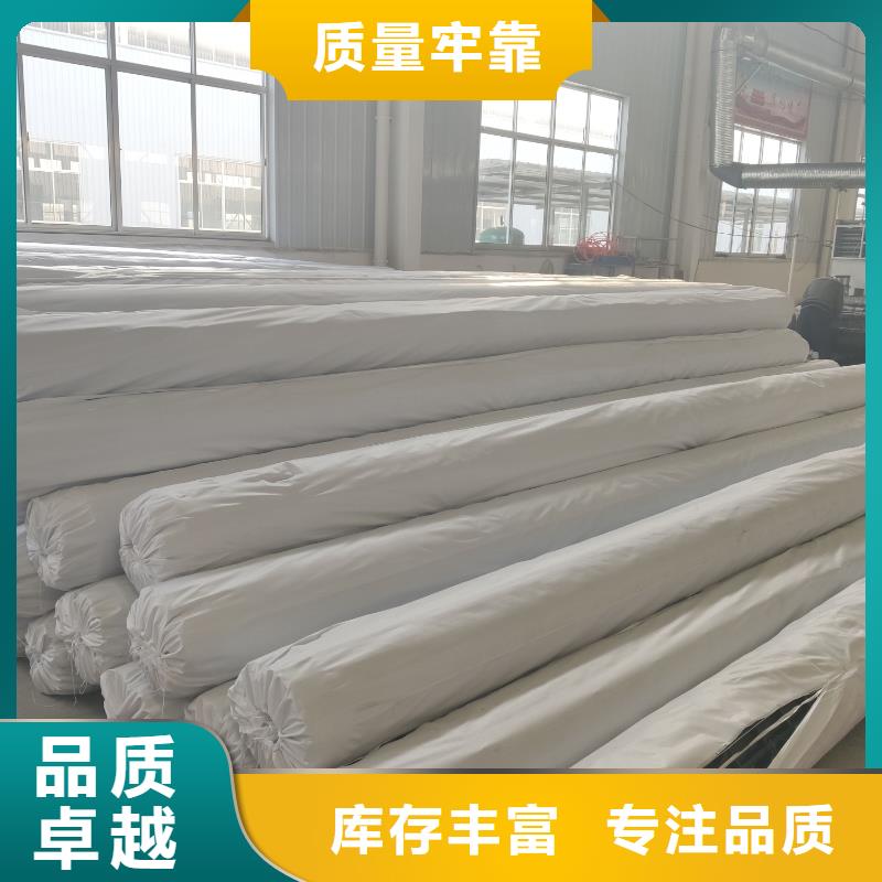 钢塑土工格栅_塑料土工格栅厂家