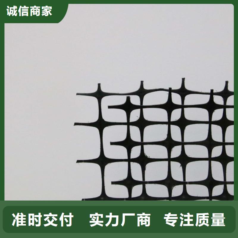 塑料土工格栅透水土工布现货批发