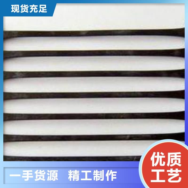 塑料土工格栅养殖膜厂家实力雄厚
