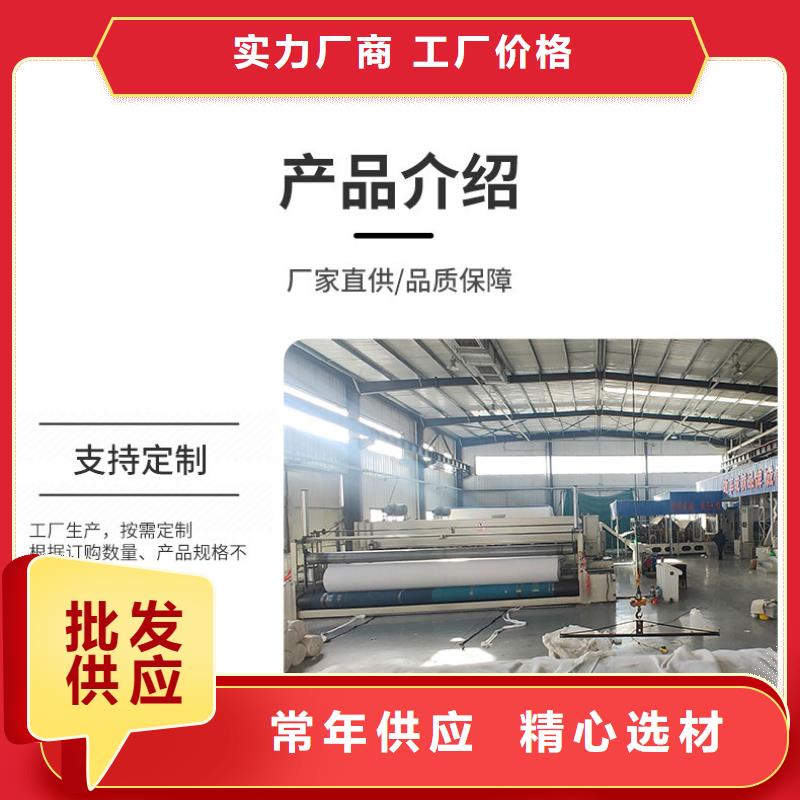 土工布钢塑土工格栅专业信赖厂家