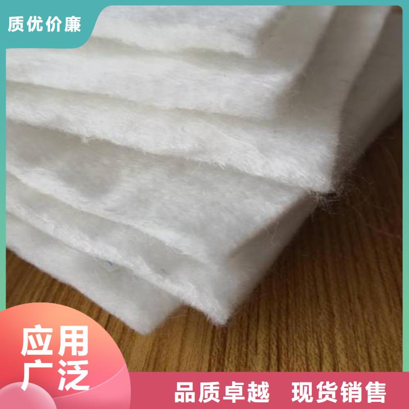 土工布单向塑料土工格栅采购
