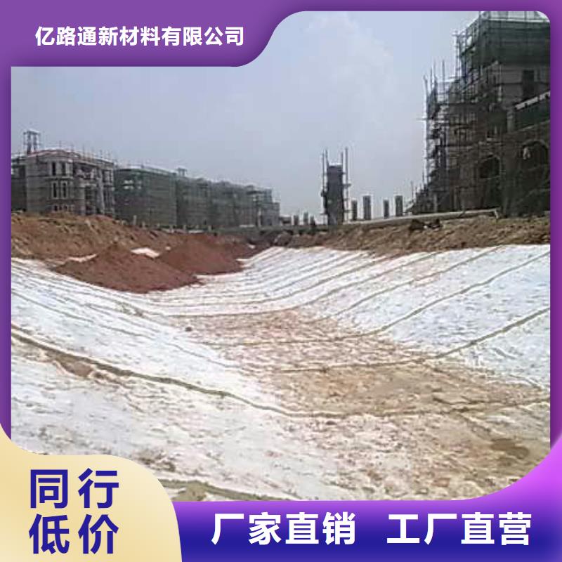 膨润土防水毯【土工席垫】实体诚信厂家