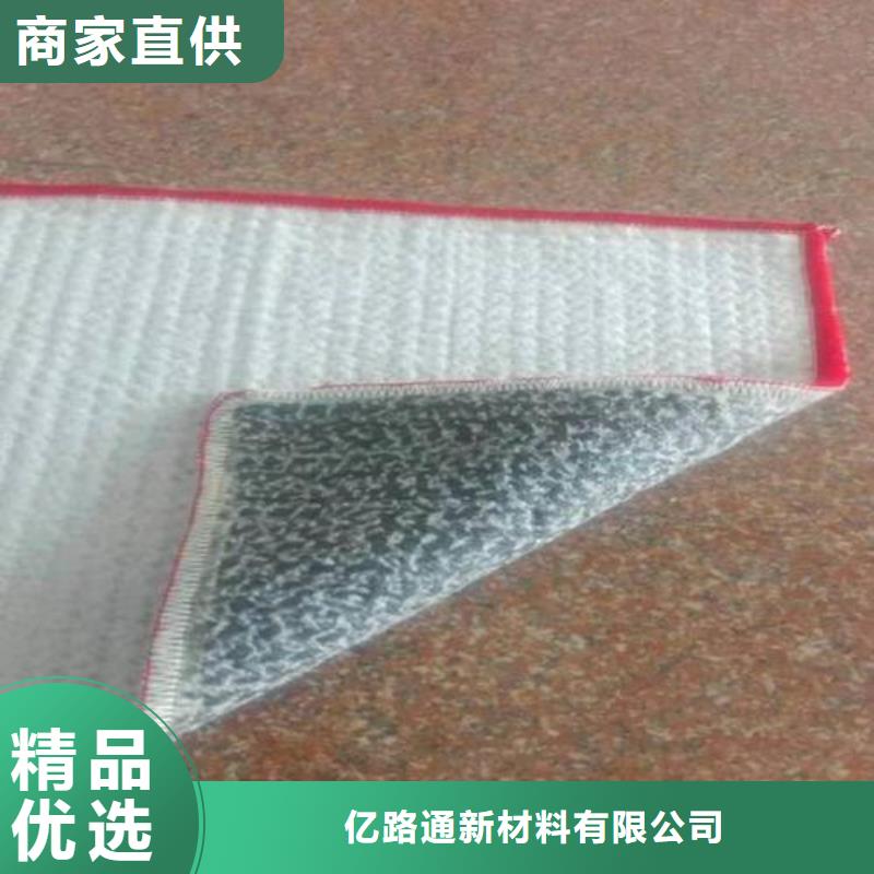 【膨润土防水毯,护坡土工网优选货源】