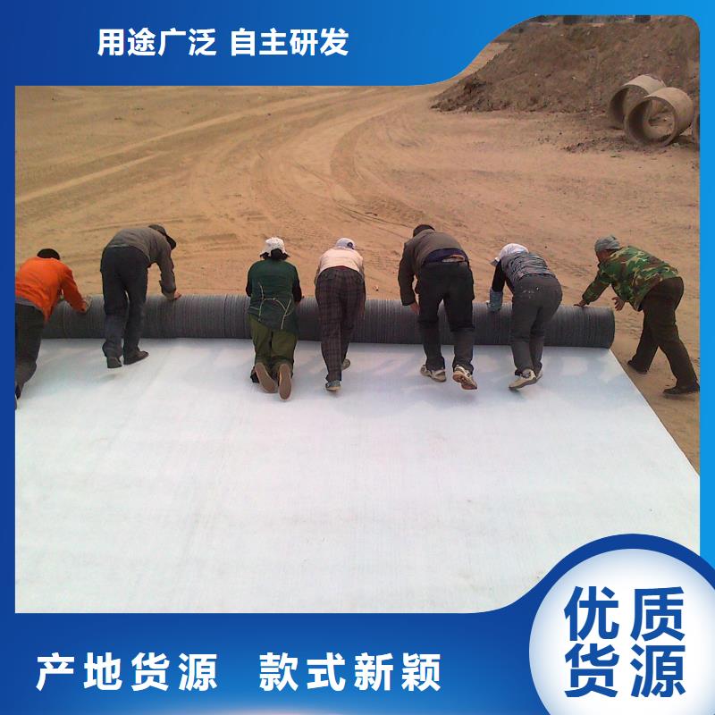 【膨润土防水毯】玻纤土工格栅追求品质