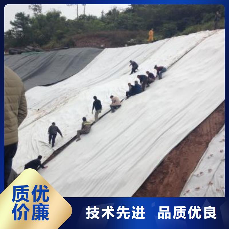 膨润土防水毯,【涤纶土工格栅】现货批发
