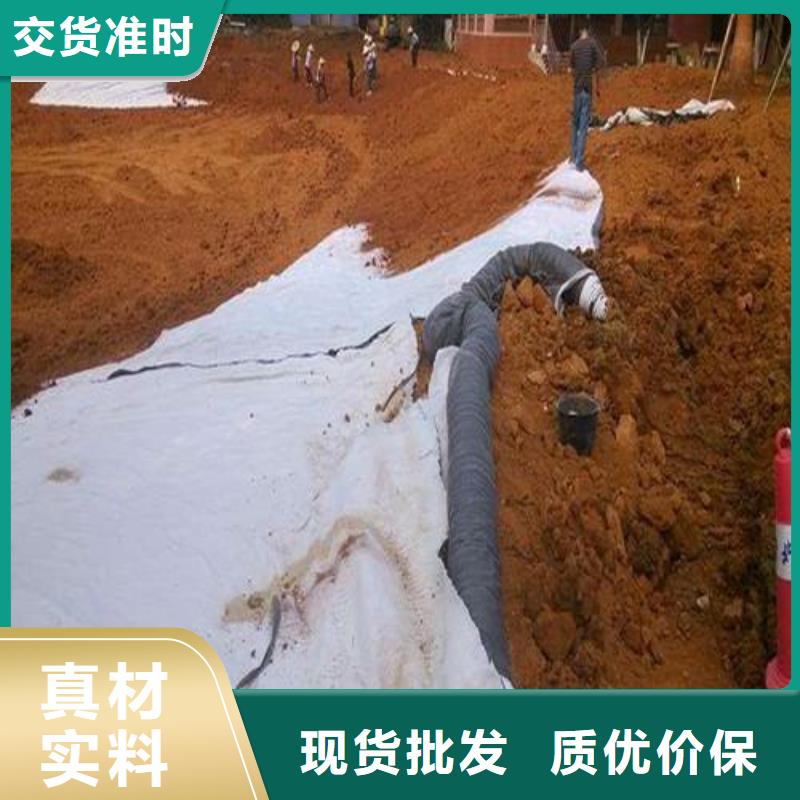 膨润土防水毯双向土工格栅厂家直营