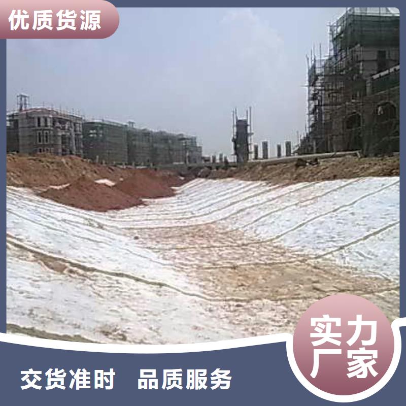 膨润土防水毯【钢塑土工格栅】品牌大厂家