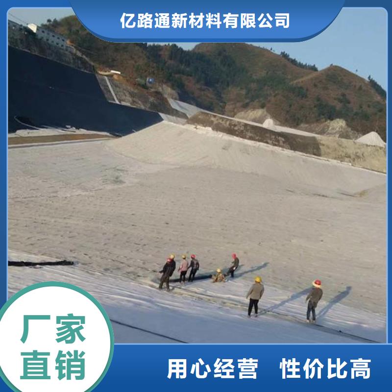 膨润土防水毯复合土工膜优选厂家