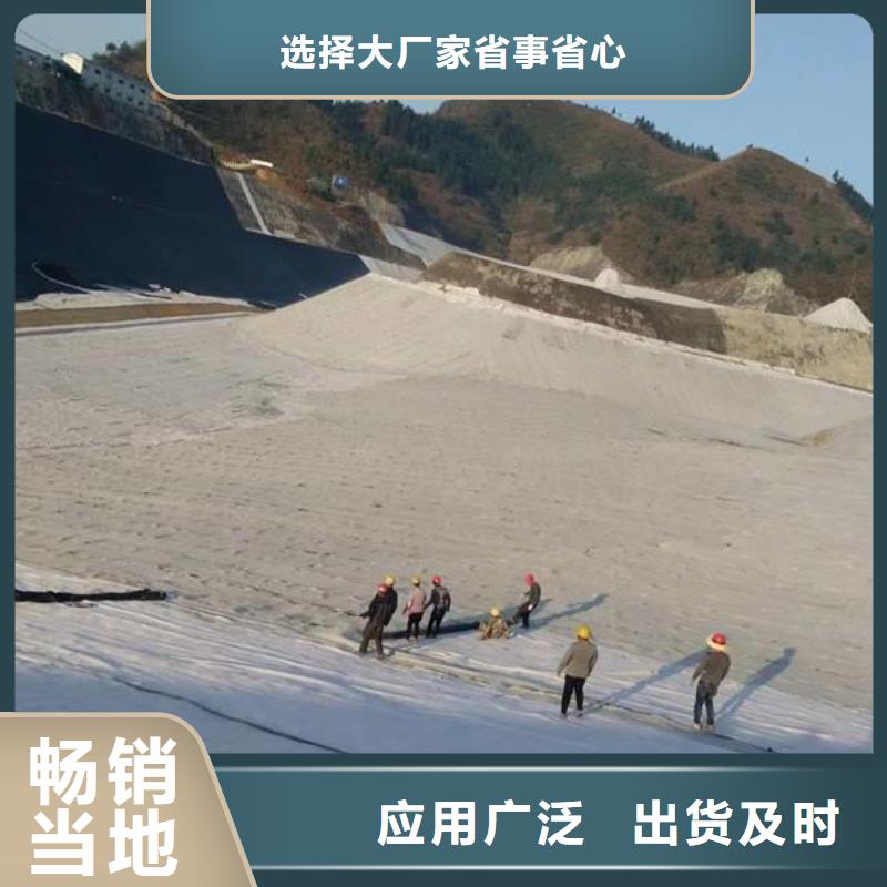 膨润土防水毯防渗膜有口皆碑