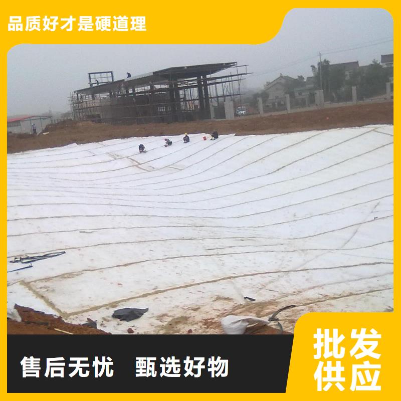 膨润土防水毯塑料排水板品质优良