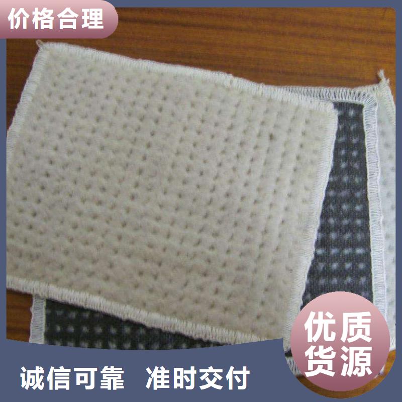 膨润土防水毯涤纶土工格栅一手价格