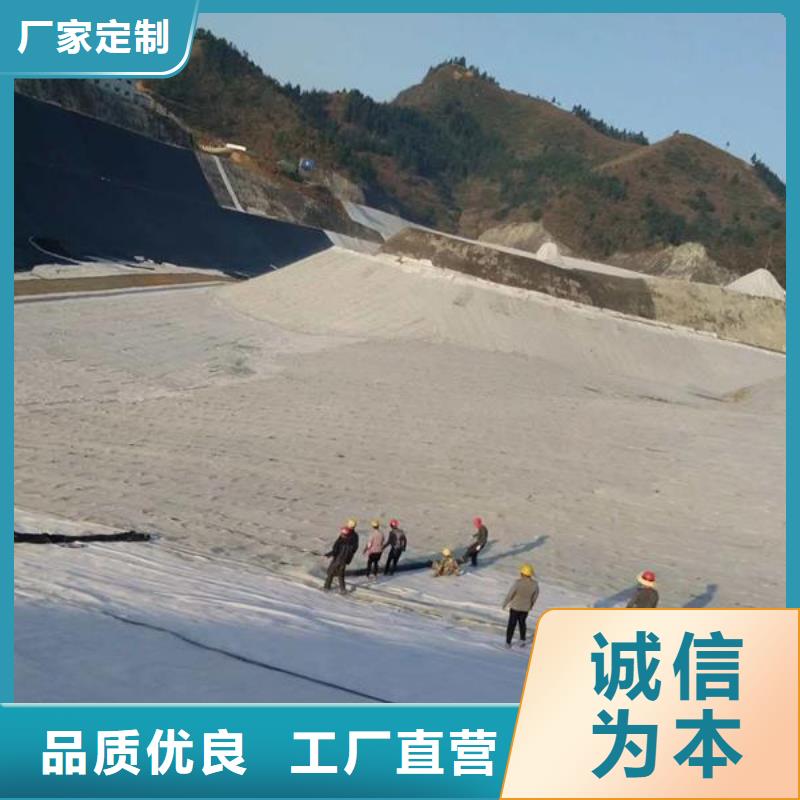 膨润土防水毯双向塑料土工格栅实力派厂家