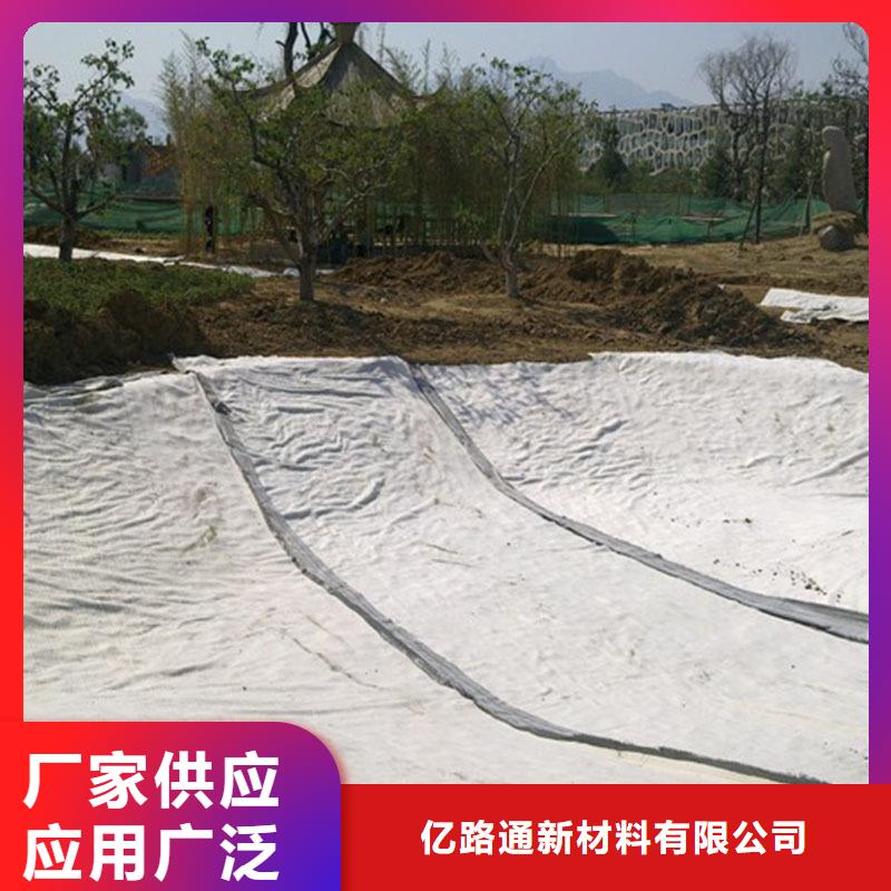 【膨润土防水毯凸结点钢塑土工格栅制造厂家】