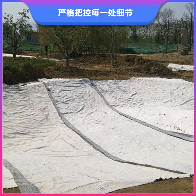 【膨润土防水毯-塑料土工格栅实体诚信厂家】