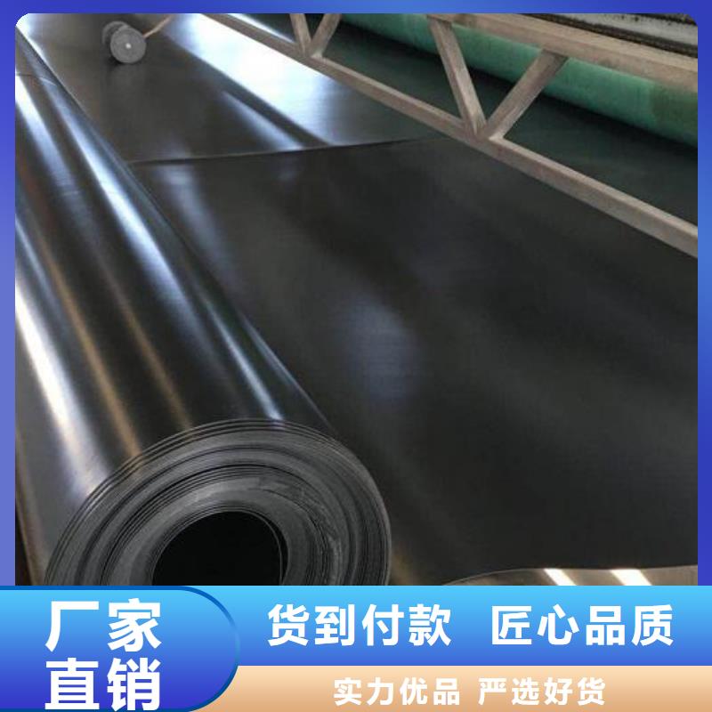 土工膜单向塑料土工格栅工厂现货供应