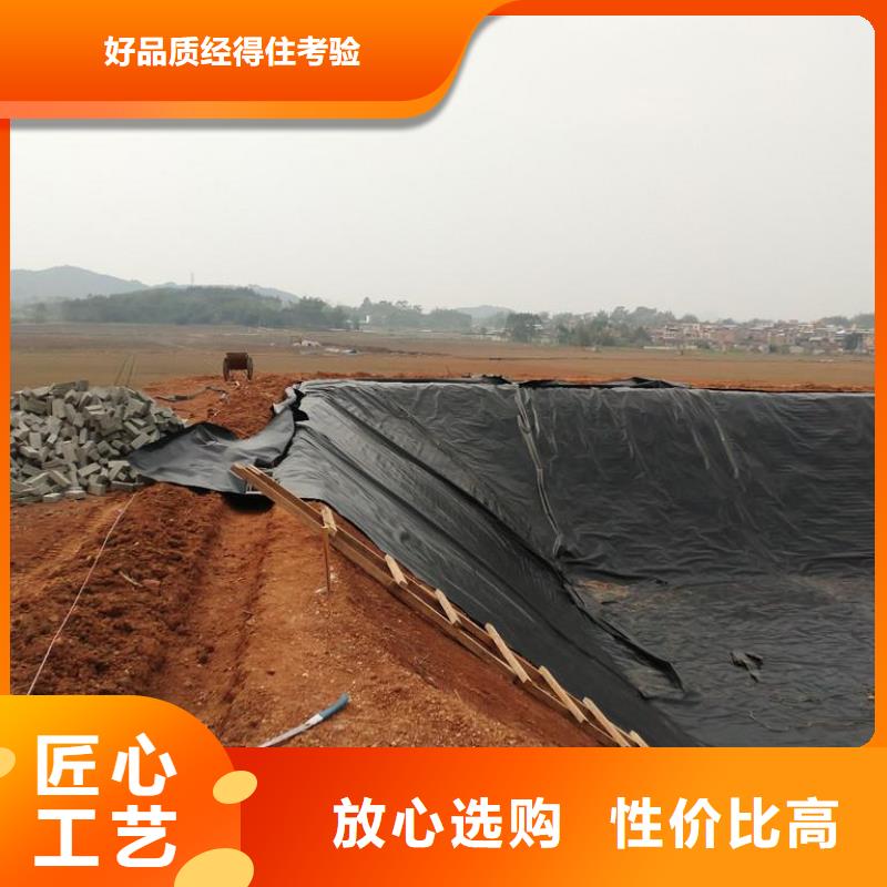 土工膜塑料土工格栅厂家直销货源充足
