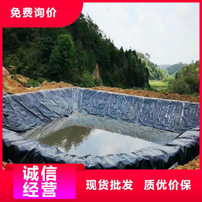 土工膜-钢塑土工格栅一周内发货