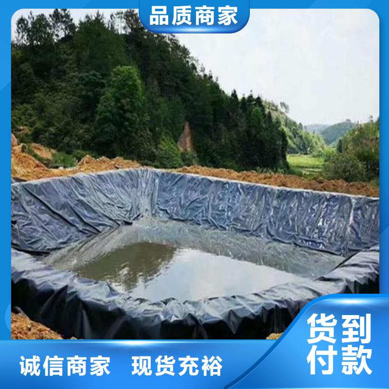 土工膜,玻纤土工格栅专心专注专业