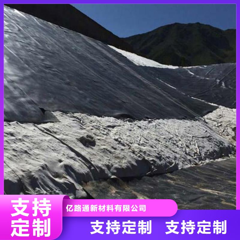 土工膜-凸结点钢塑土工格栅厂家直销