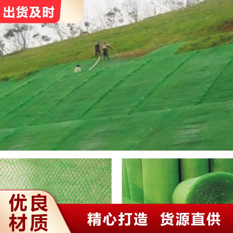 三维植被网HDPE土工膜工艺成熟