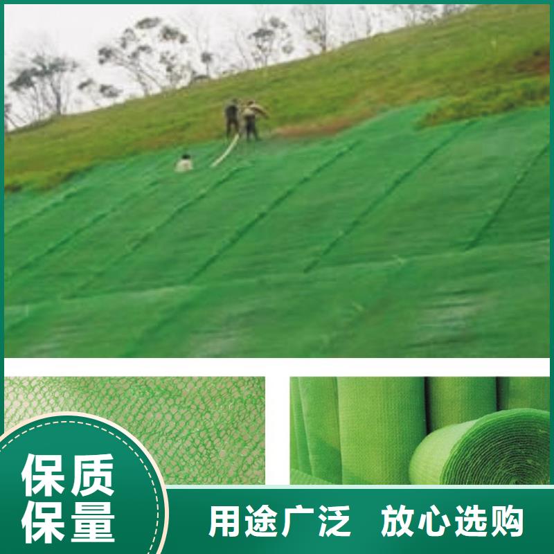 三维植被网防尘布正规厂家