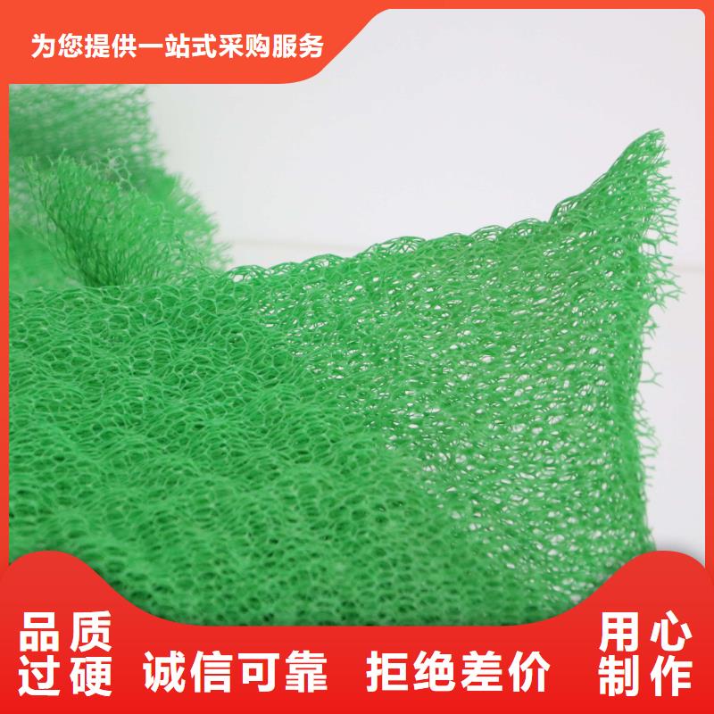 三维植被网短丝土工布一手价格