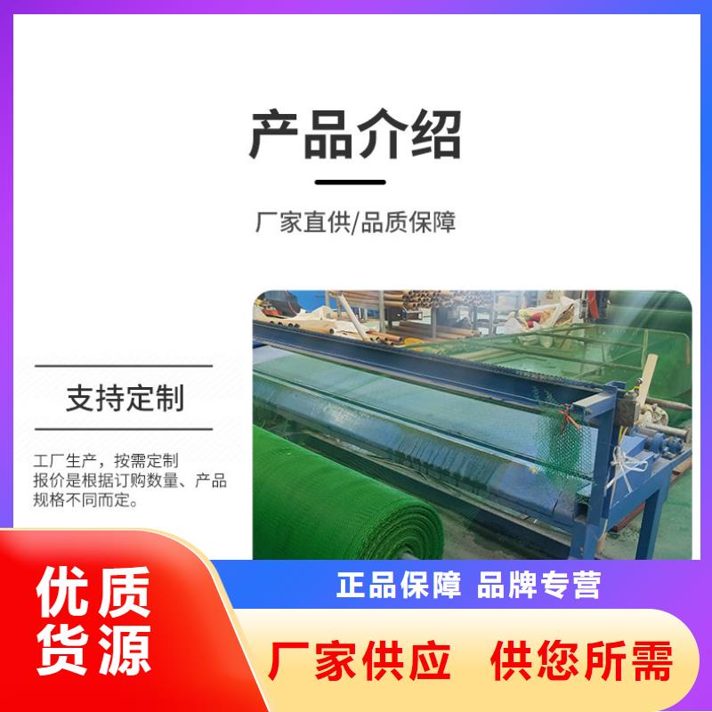 三维植被网护坡土工网好产品不怕比