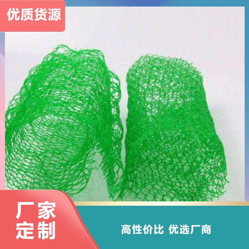 三维植被网防尘布正规厂家