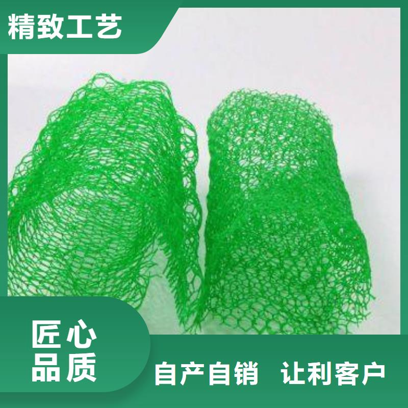 三维植被网-HDPE土工膜24小时下单发货