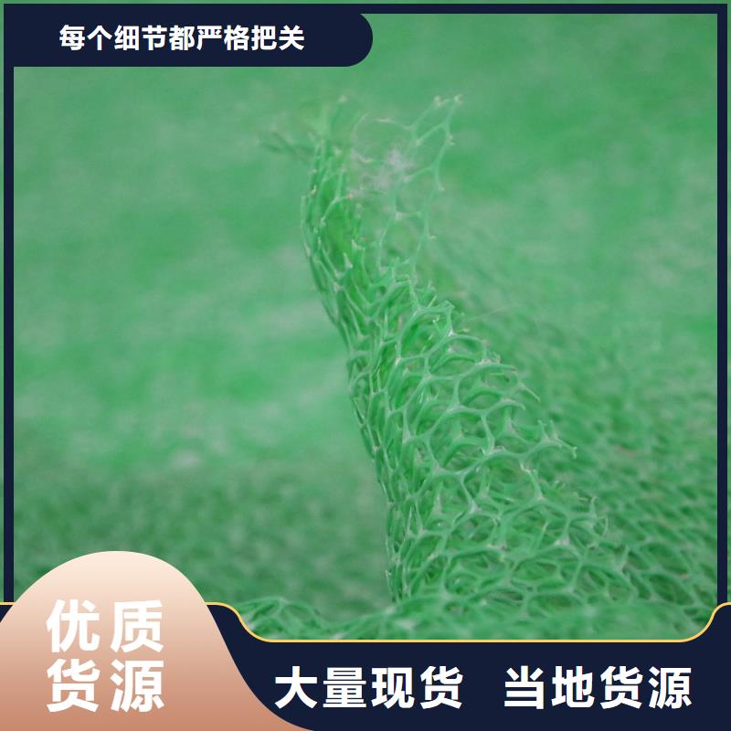 三维植被网钢塑土工格栅满足客户所需