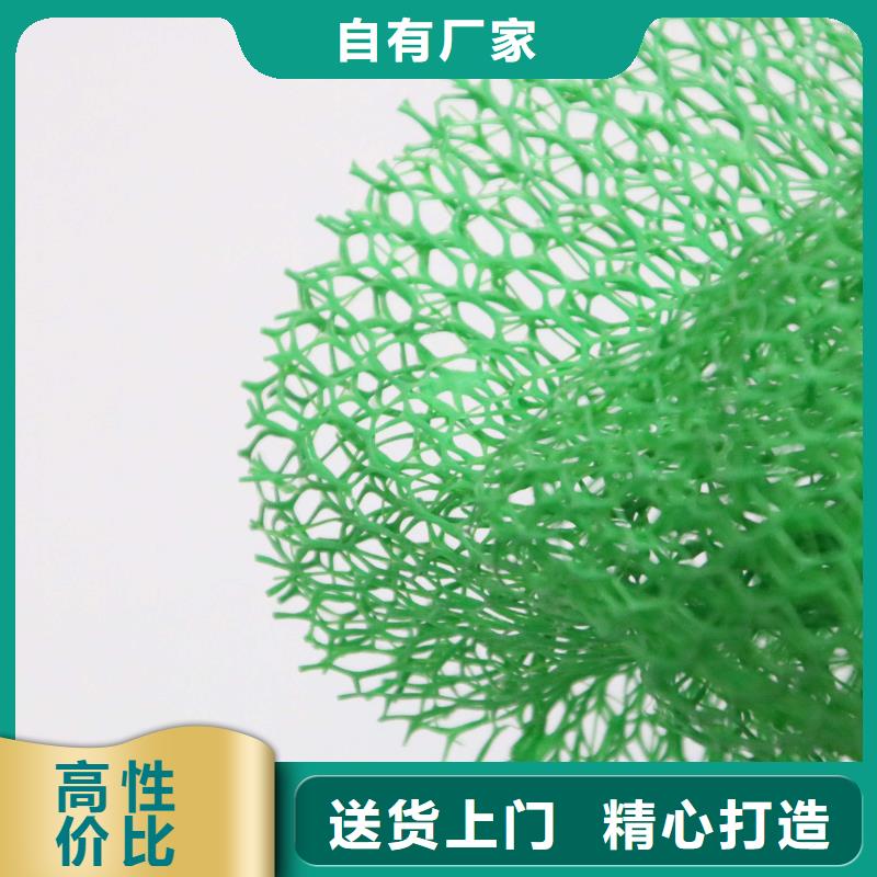 三维植被网土工格室为您提供一站式采购服务