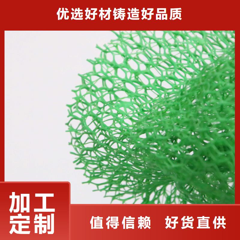 【三维植被网防尘布支持货到付清】