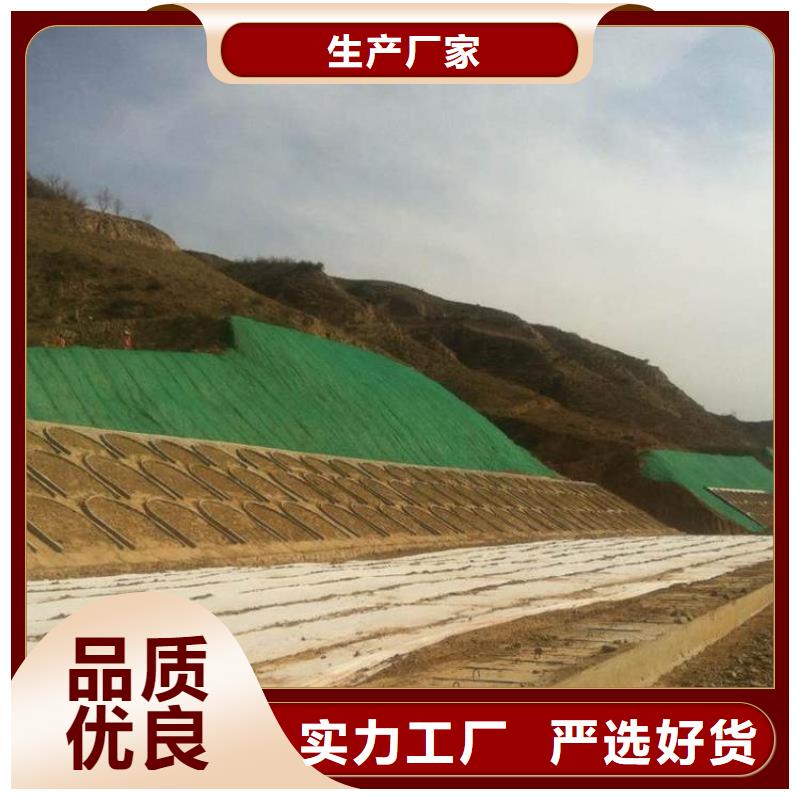 三维植被网护坡土工网好产品不怕比