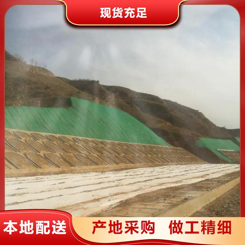 【三维植被网】玻纤土工格栅快速发货