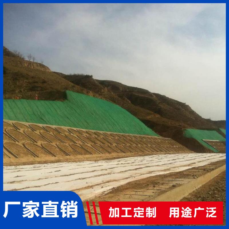 三维植被网土工格室为您提供一站式采购服务