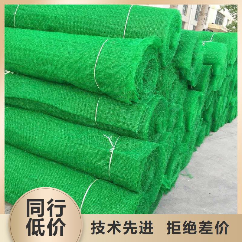 三维植被网单向塑料土工格栅自产自销