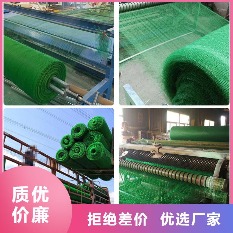 三维植被网HDPE土工膜工艺成熟