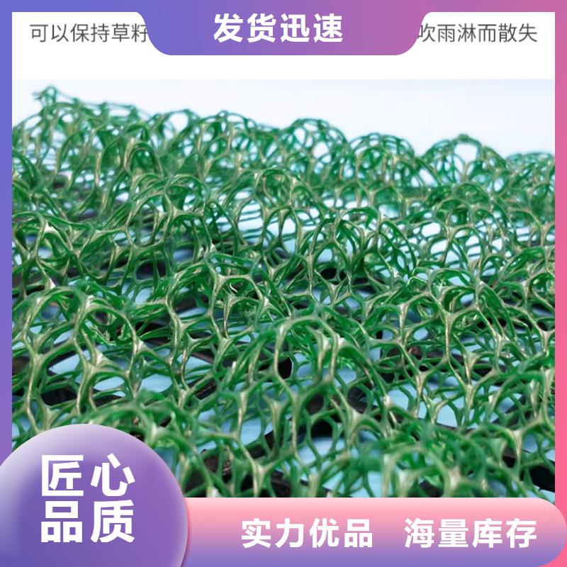 【三维植被网】玻纤土工格栅快速发货