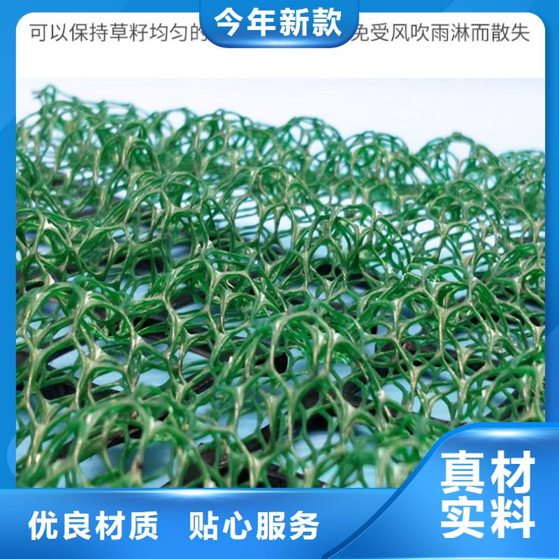 三维植被网-复合土工膜现货交易