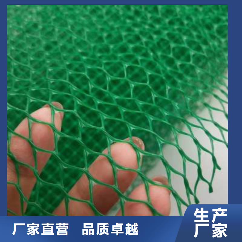 三维植被网_凸结点钢塑土工格栅技术先进