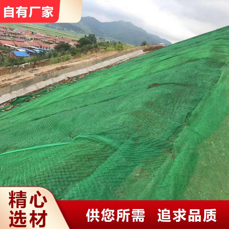 三维植被网塑料土工格栅多年经验值得信赖