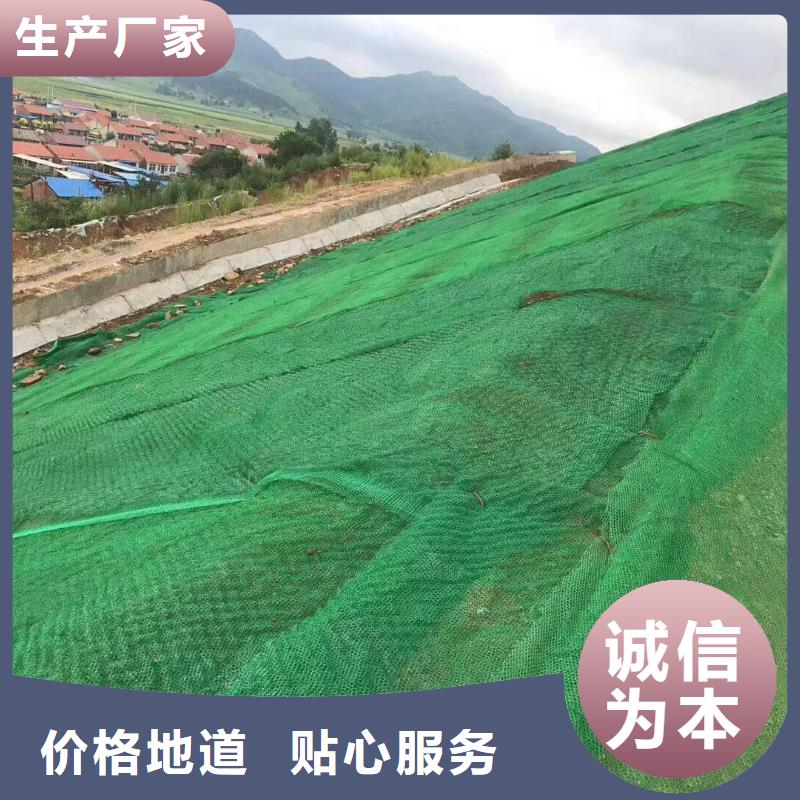 【三维植被网】玻纤土工格栅快速发货