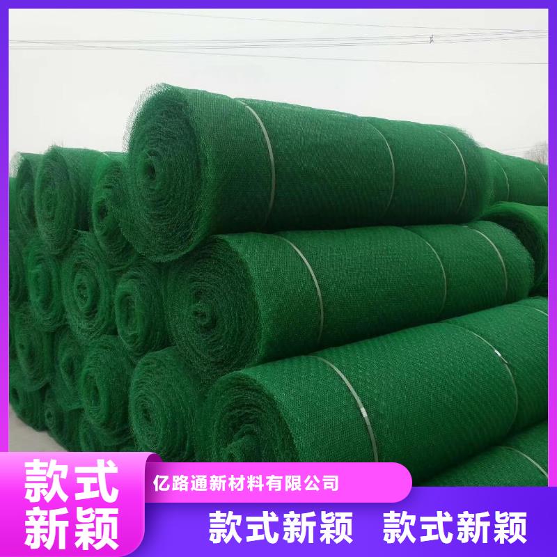 三维植被网-HDPE土工膜货源报价