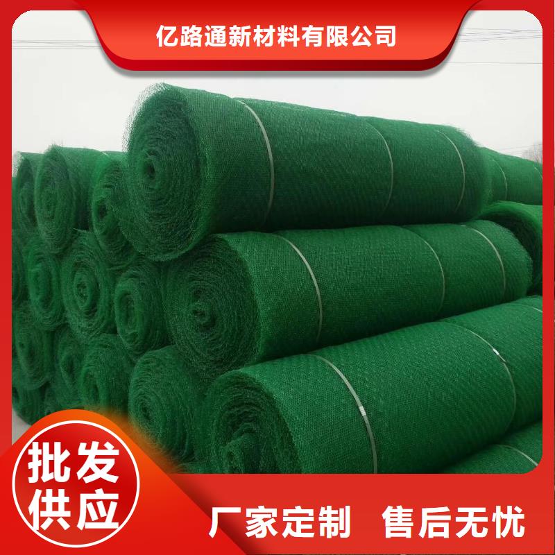 三维植被网-涤纶土工格栅专业设计