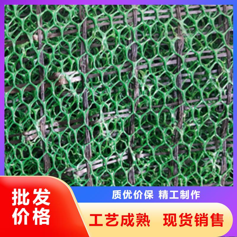 三维植被网单向塑料土工格栅自产自销